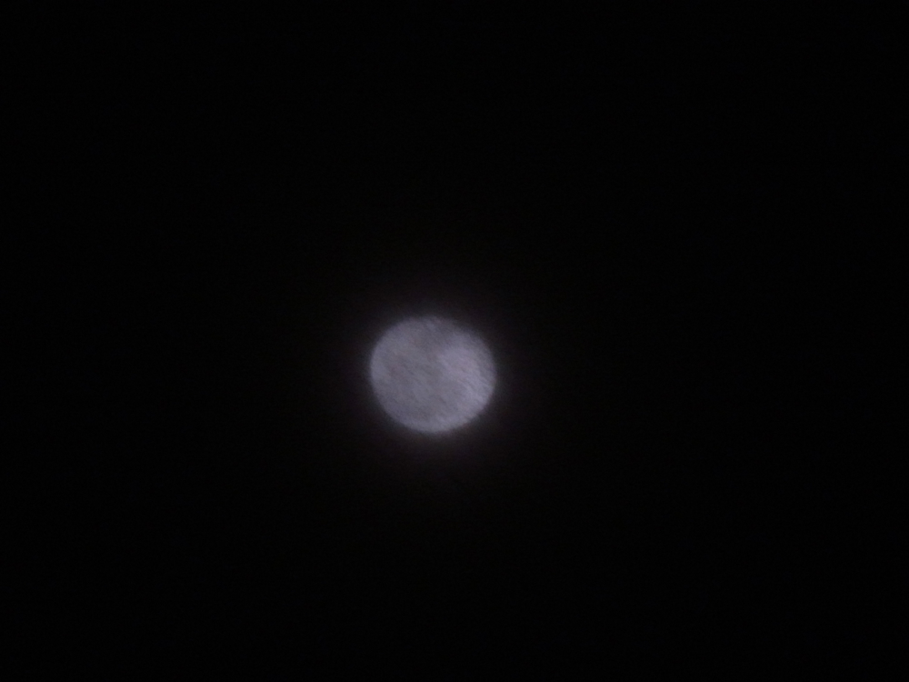 f:id:elmikamino:20130129202848j:image:w500