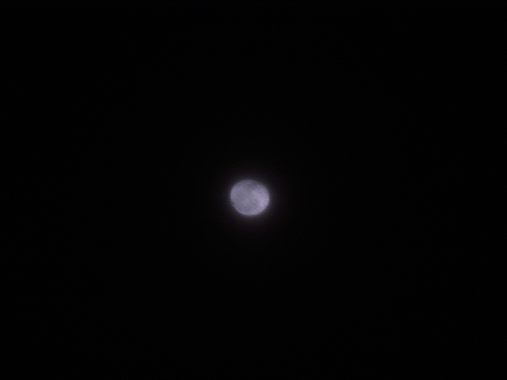 f:id:elmikamino:20130129202900j:image:w500