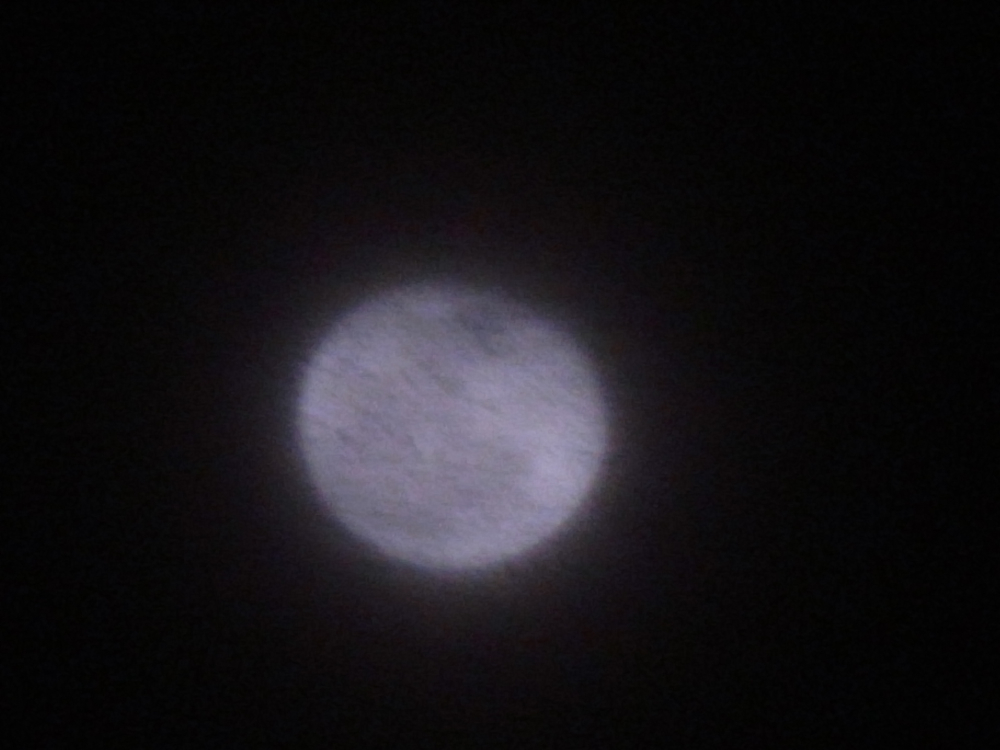 f:id:elmikamino:20130129202907j:image:w500