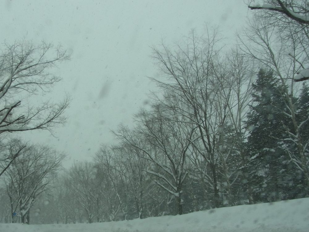 f:id:elmikamino:20130130102522j:image:w500
