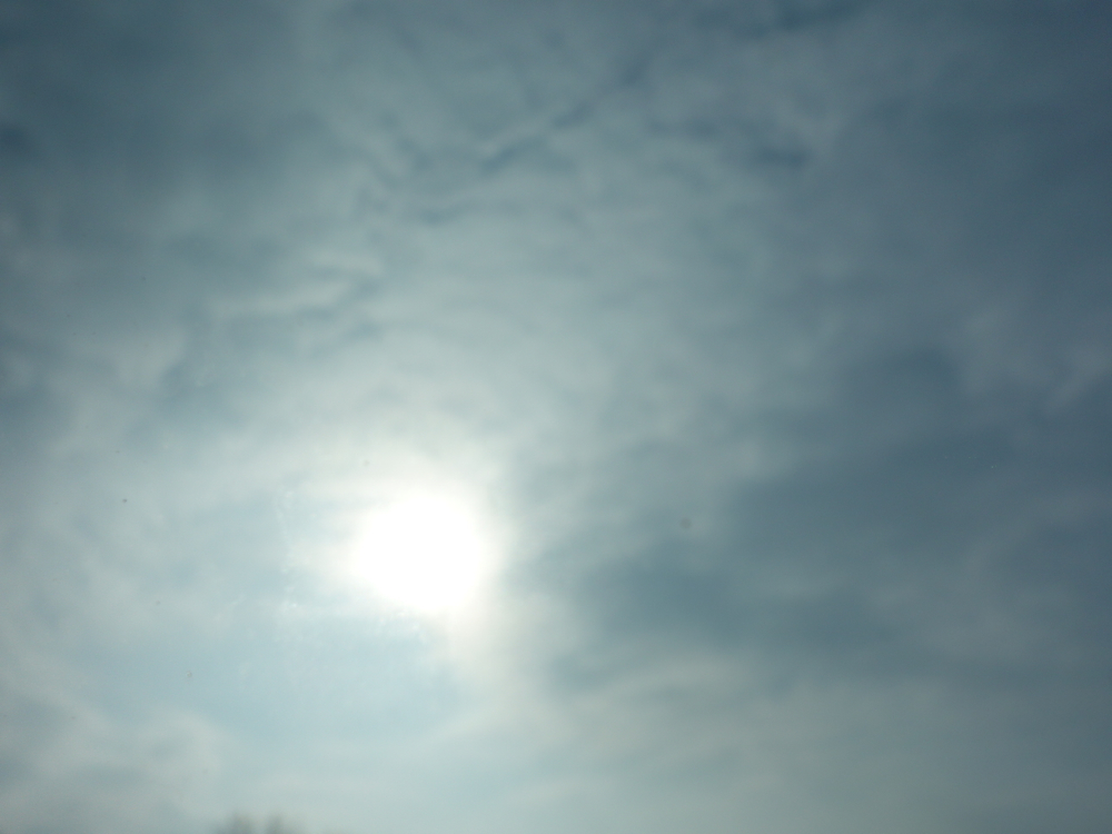f:id:elmikamino:20130201100452j:image:w500