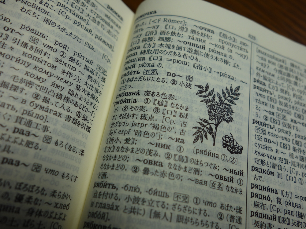 f:id:elmikamino:20130202020740j:image:w500