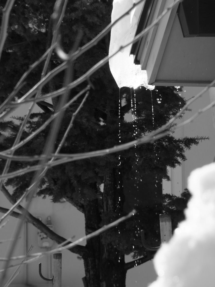 f:id:elmikamino:20130202105614j:image:w500