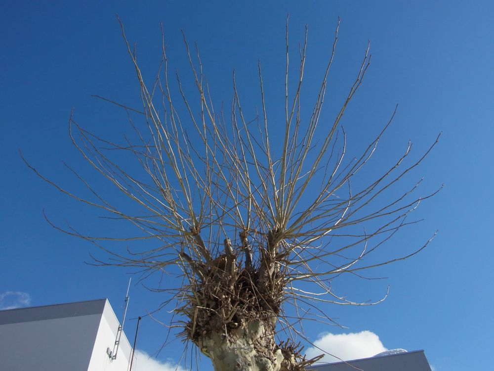 f:id:elmikamino:20130202105804j:image:w500