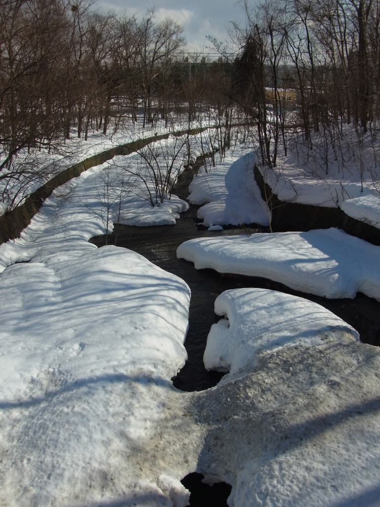 f:id:elmikamino:20130202113855j:image:w500