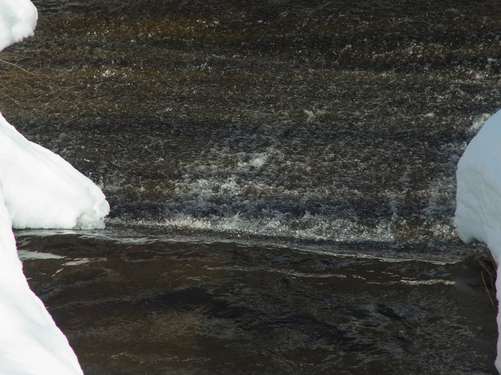 f:id:elmikamino:20130202113940j:image:w500