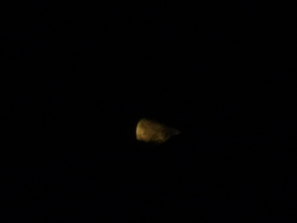 f:id:elmikamino:20130202235211j:image:w500