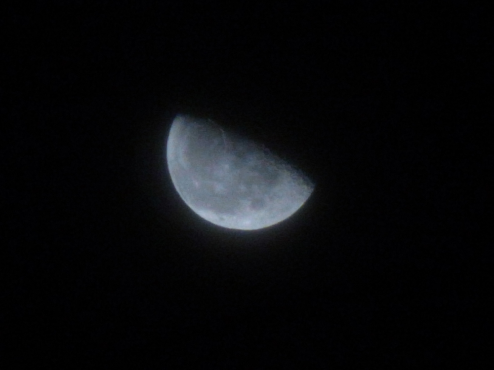 f:id:elmikamino:20130203002828j:image:w500