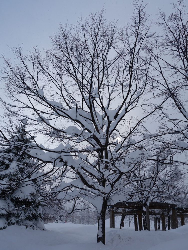 f:id:elmikamino:20130217084114j:image:w500