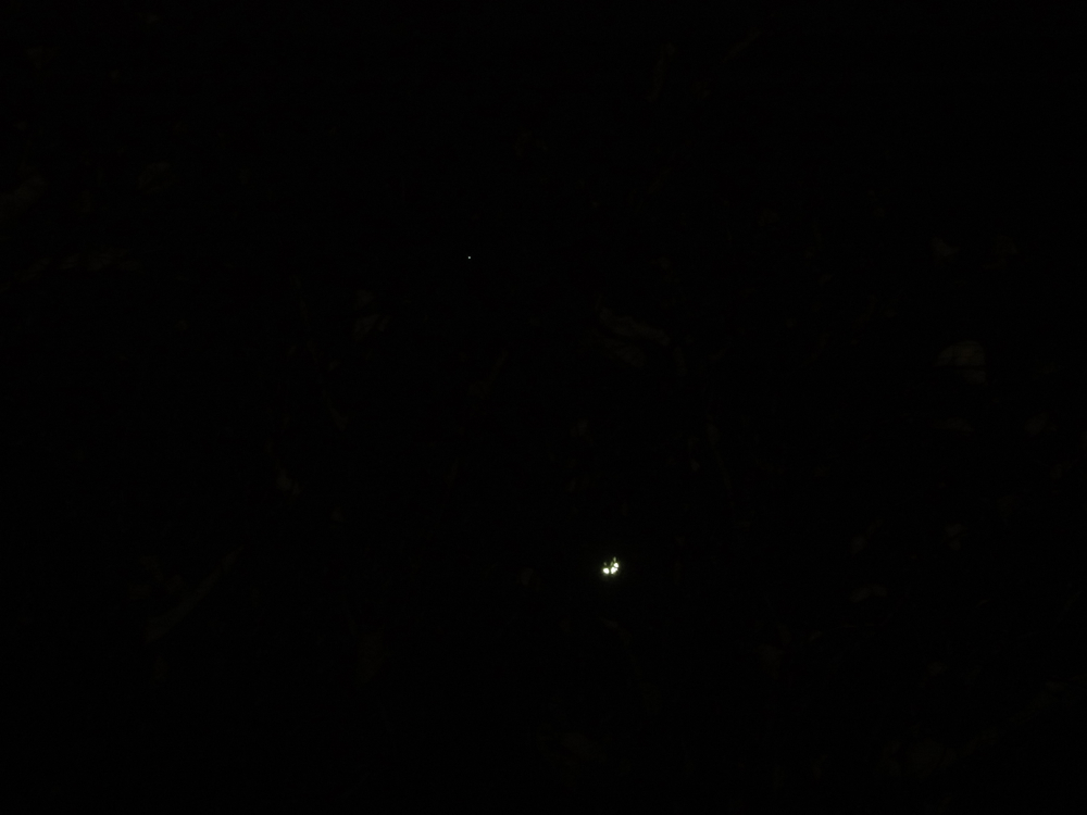f:id:elmikamino:20130217205315j:image:w500
