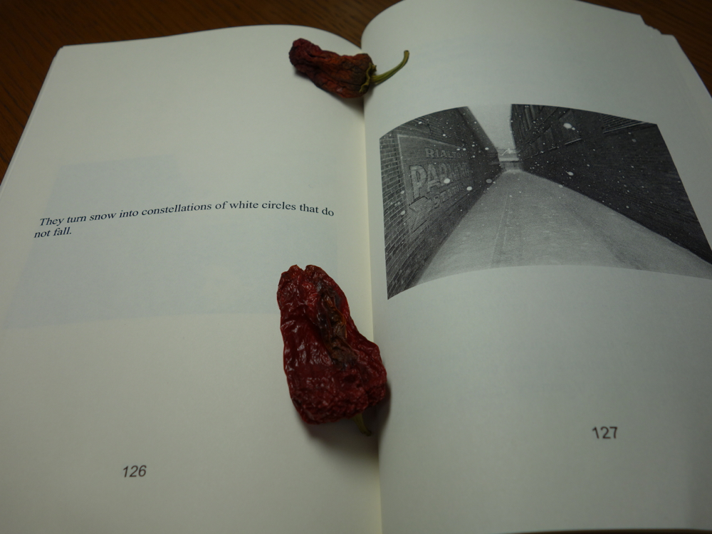 f:id:elmikamino:20130219001011j:image:w500