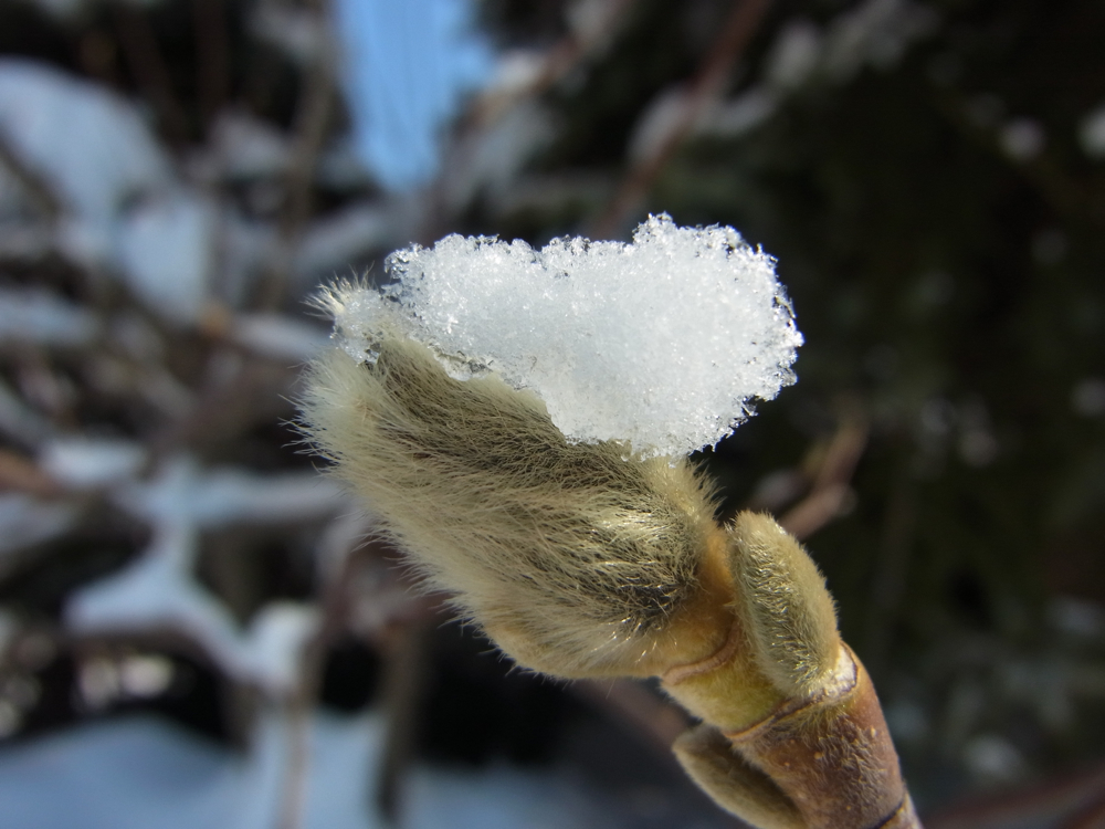 f:id:elmikamino:20130219102257j:image:w500