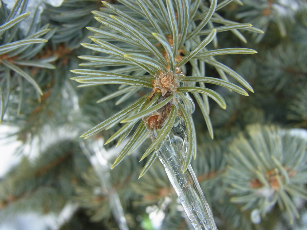 f:id:elmikamino:20130219102442j:image:w500