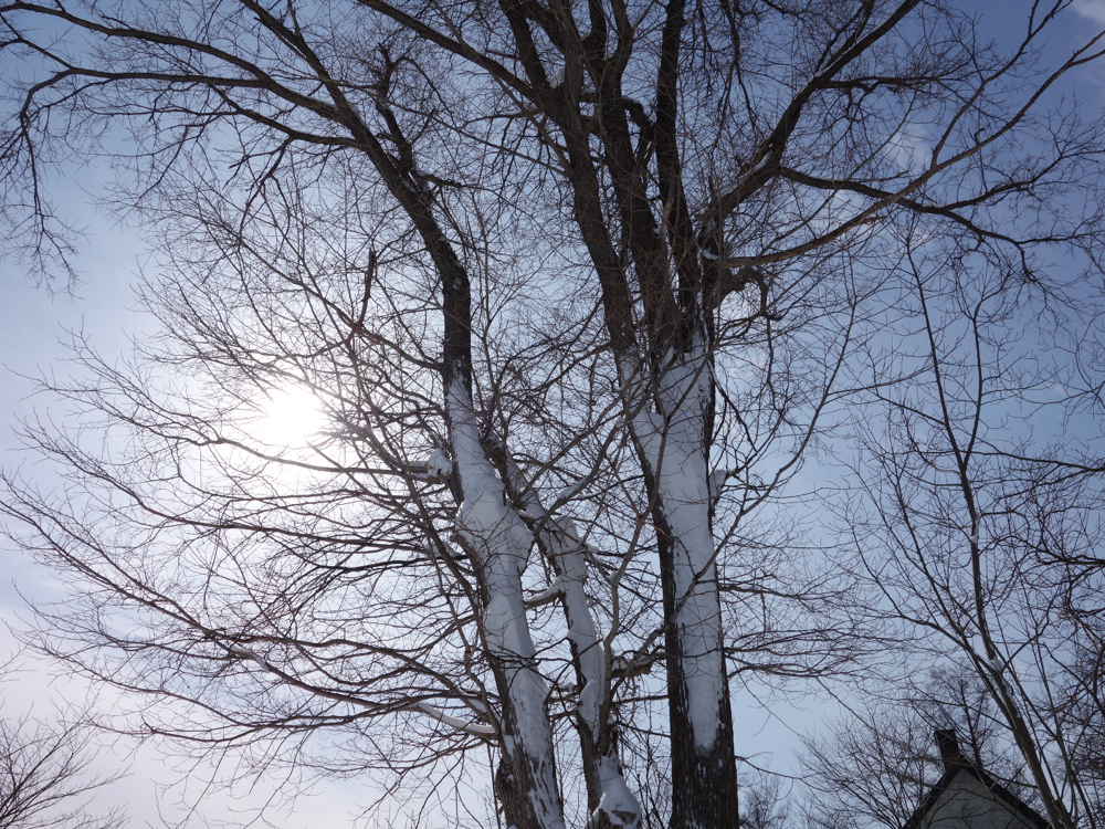 f:id:elmikamino:20130305095156j:image:w500