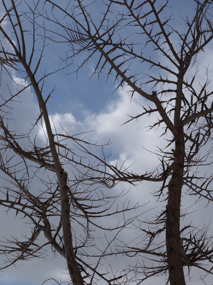 f:id:elmikamino:20130305101848j:image:w500