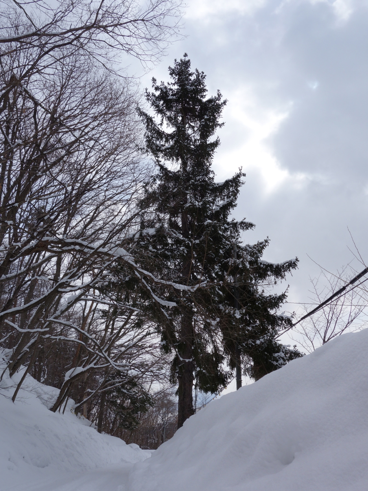 f:id:elmikamino:20130305102346j:image:w500