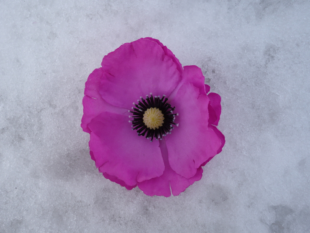 f:id:elmikamino:20130308121121j:image:w500