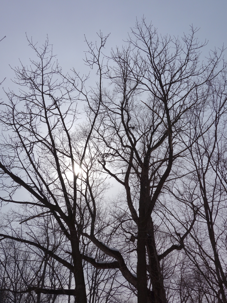 f:id:elmikamino:20130308123558j:image:w500