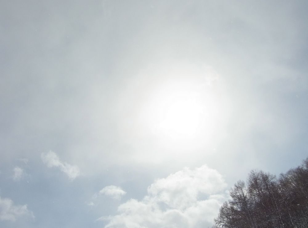 f:id:elmikamino:20130309115810j:image:w500