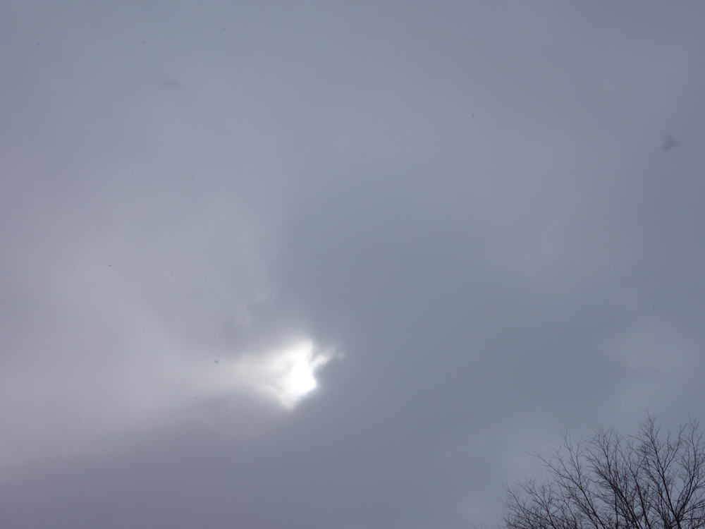f:id:elmikamino:20130311095303j:image:w500