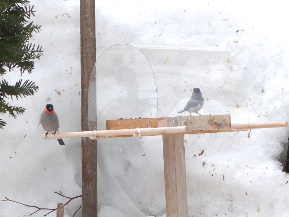 f:id:elmikamino:20130320111710j:image:w500