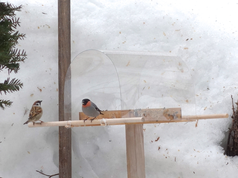 f:id:elmikamino:20130320111810j:image:w500