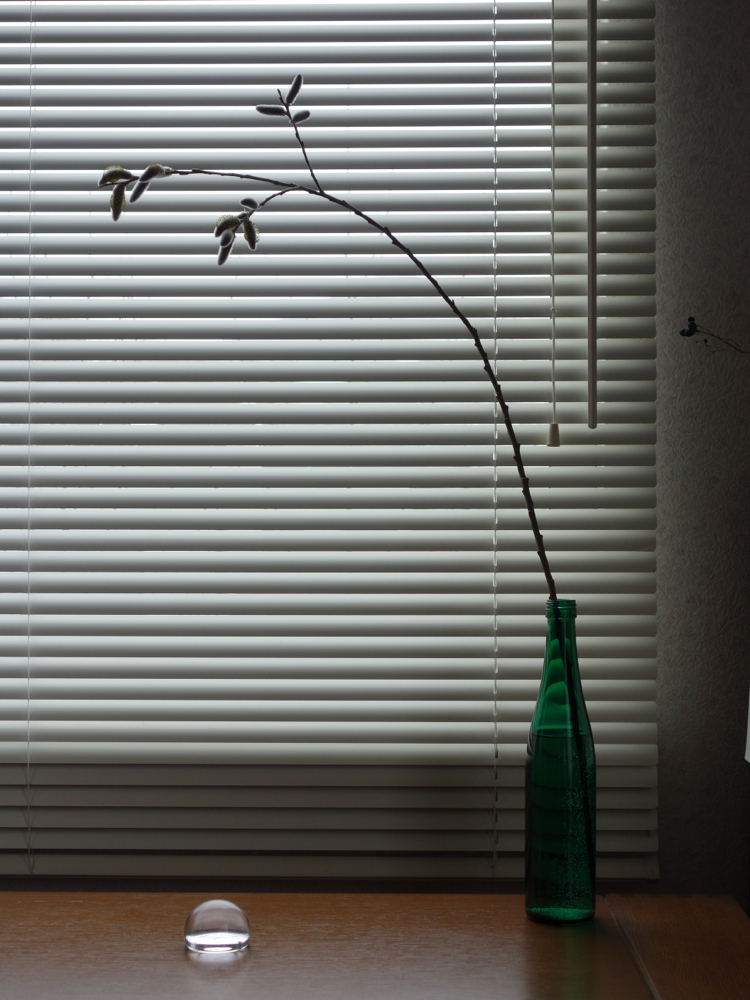 f:id:elmikamino:20130409094526j:image:w500