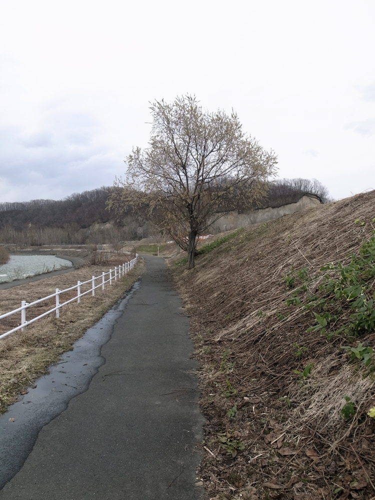 f:id:elmikamino:20130416140951j:image:w500