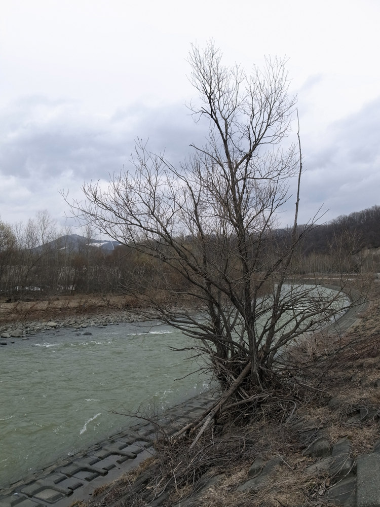 f:id:elmikamino:20130416141055j:image:w500