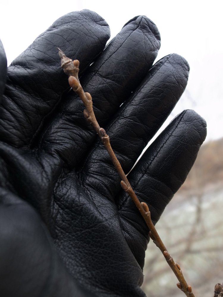 f:id:elmikamino:20130416141214j:image:w500