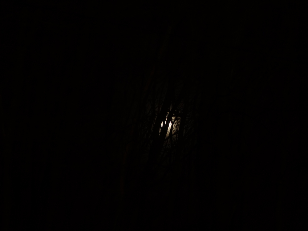 f:id:elmikamino:20130417215434j:image:w500
