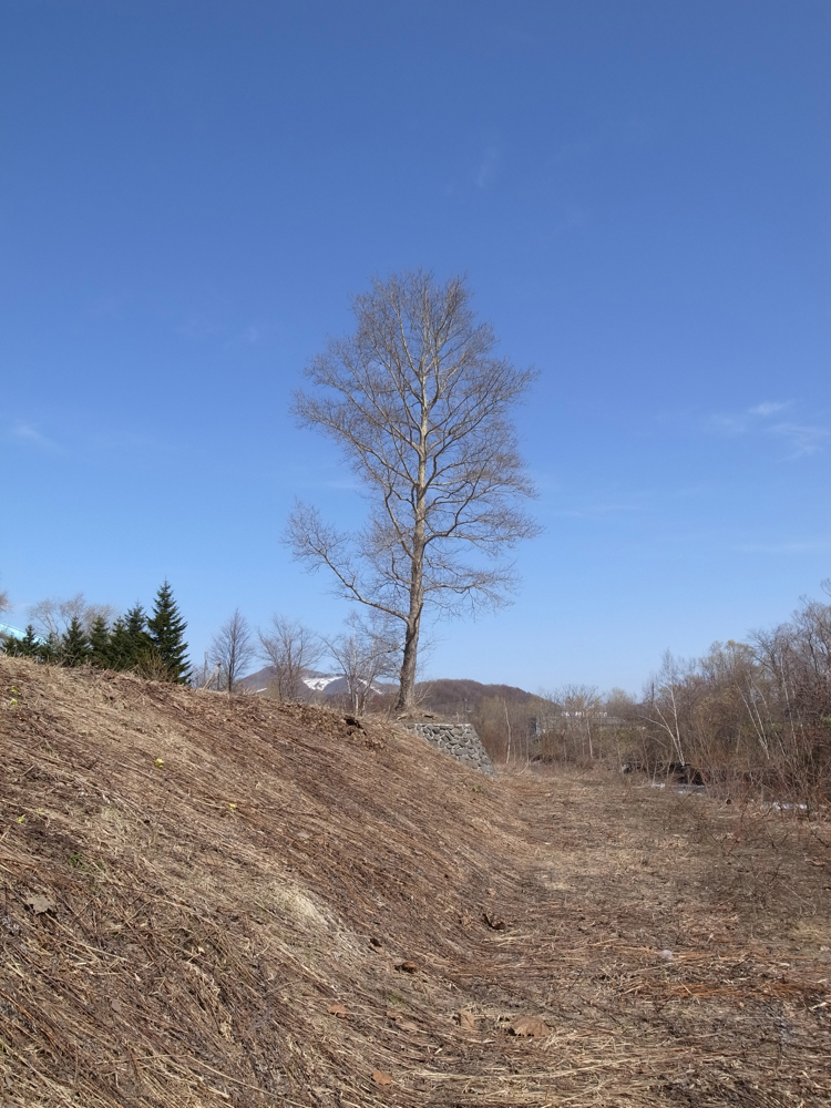 f:id:elmikamino:20130421091950j:image:w500 f:id:elmikamino:20130421091950j:image:w500