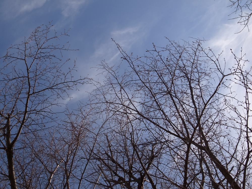 f:id:elmikamino:20130421092417j:image:w500 f:id:elmikamino:20130421092417j:image:w500