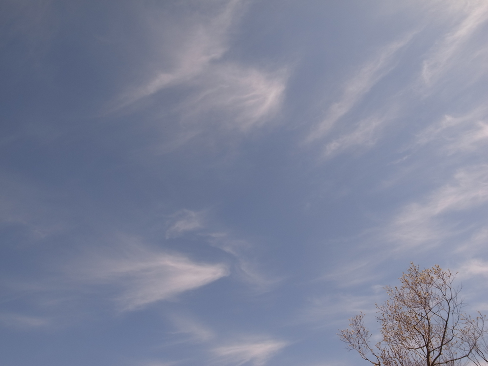 f:id:elmikamino:20130421092627j:image:w500 f:id:elmikamino:20130421092627j:image:w500