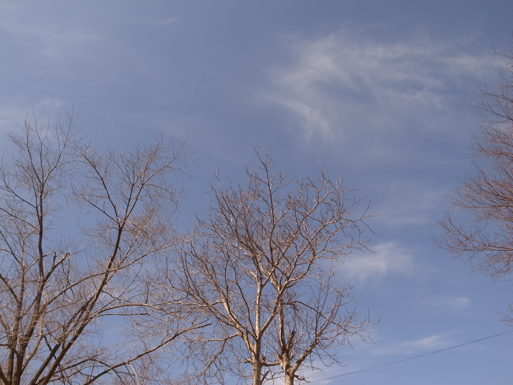 f:id:elmikamino:20130421093022j:image:w500 f:id:elmikamino:20130421093022j:image:w500