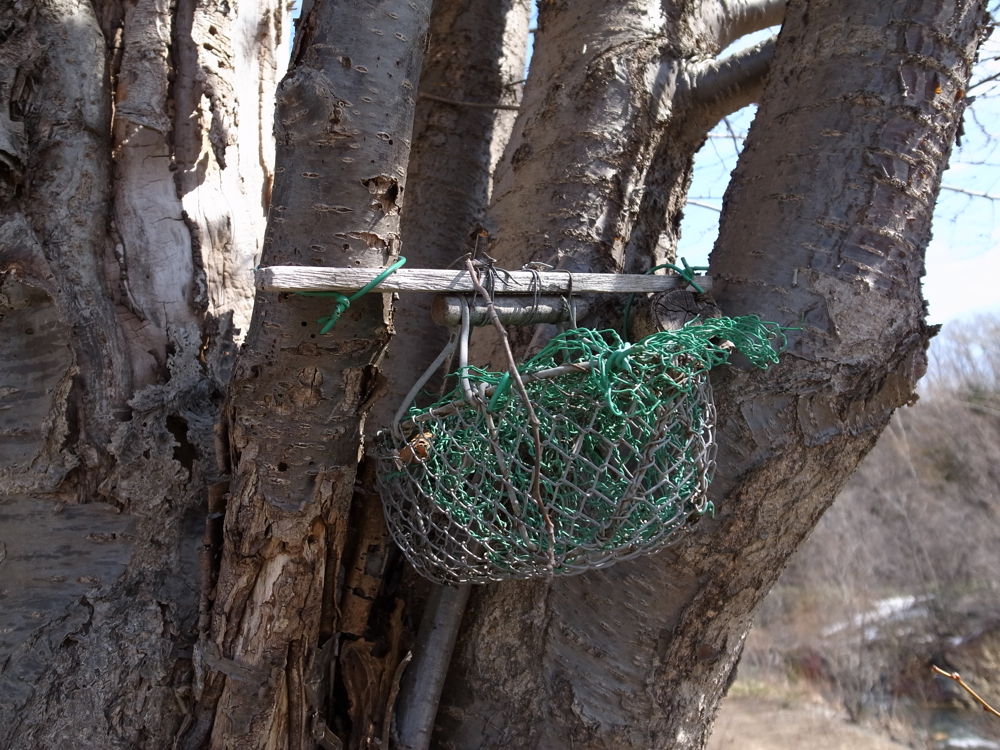 f:id:elmikamino:20130421093217j:image:w500 f:id:elmikamino:20130421093217j:image:w500