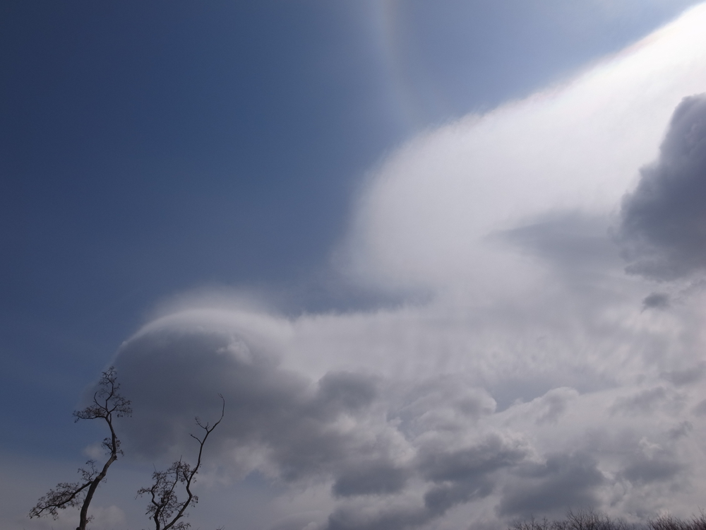 f:id:elmikamino:20130422102518j:image:w500