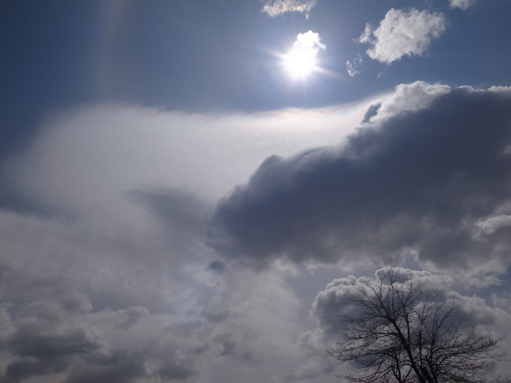 f:id:elmikamino:20130422102524j:image:w500