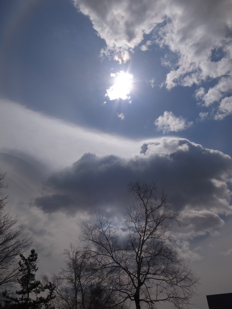 f:id:elmikamino:20130422102603j:image:w500