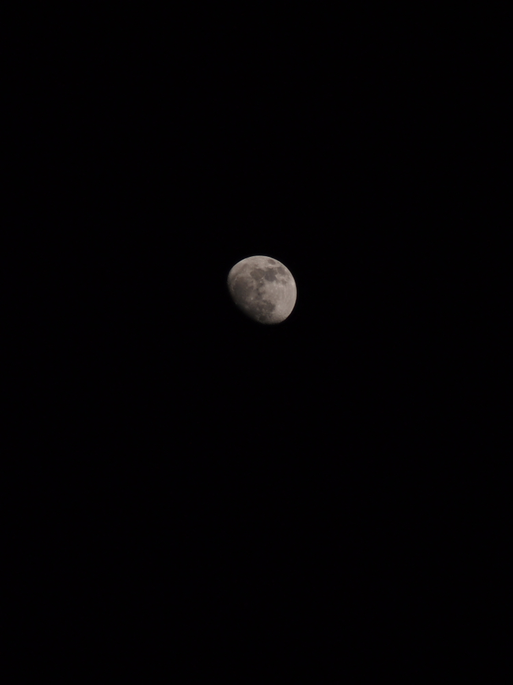 f:id:elmikamino:20130422185732j:image:w500