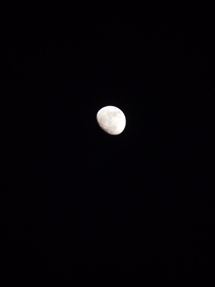 f:id:elmikamino:20130422185740j:image:w500