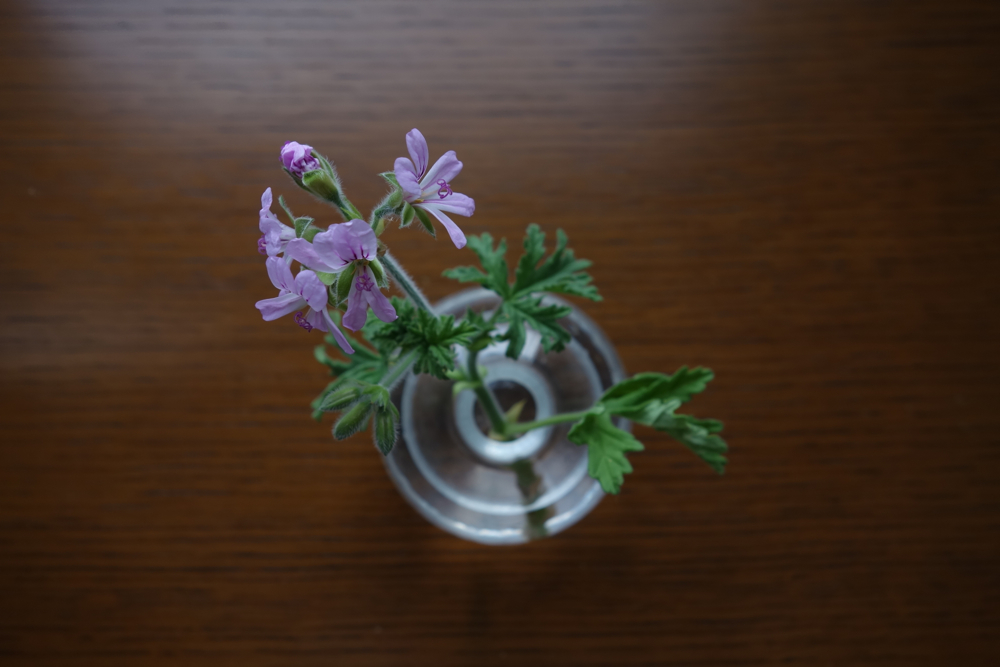 f:id:elmikamino:20130425082722j:image:w500