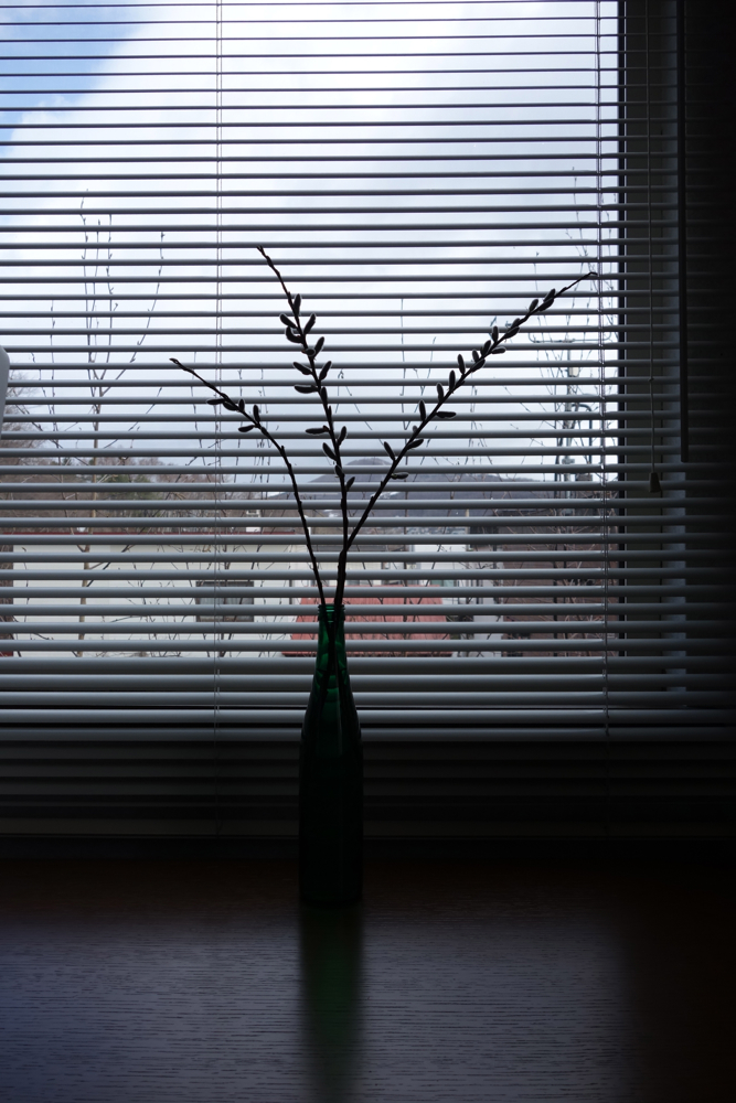 f:id:elmikamino:20130425092643j:image:h500