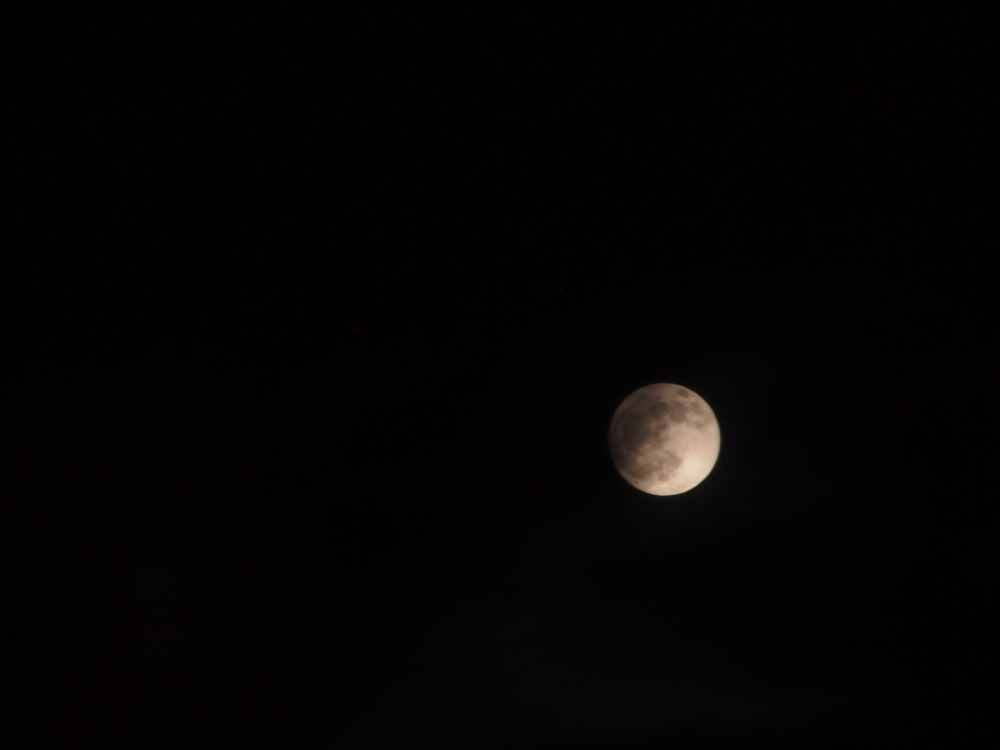 f:id:elmikamino:20130425211207j:image:w500