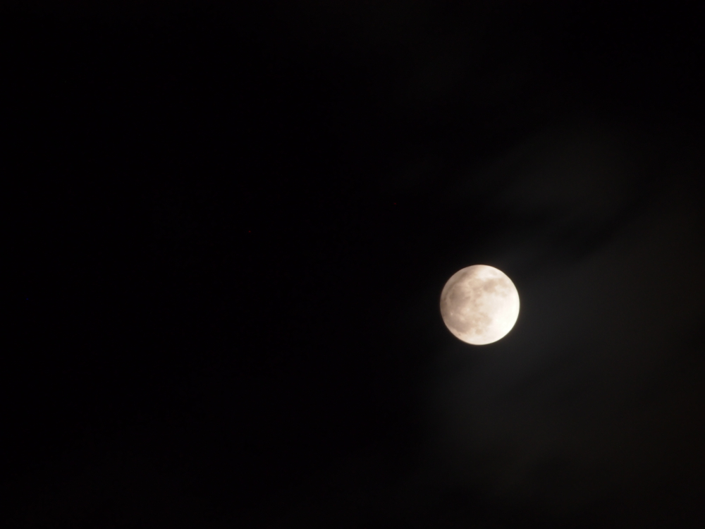 f:id:elmikamino:20130425211225j:image:w500