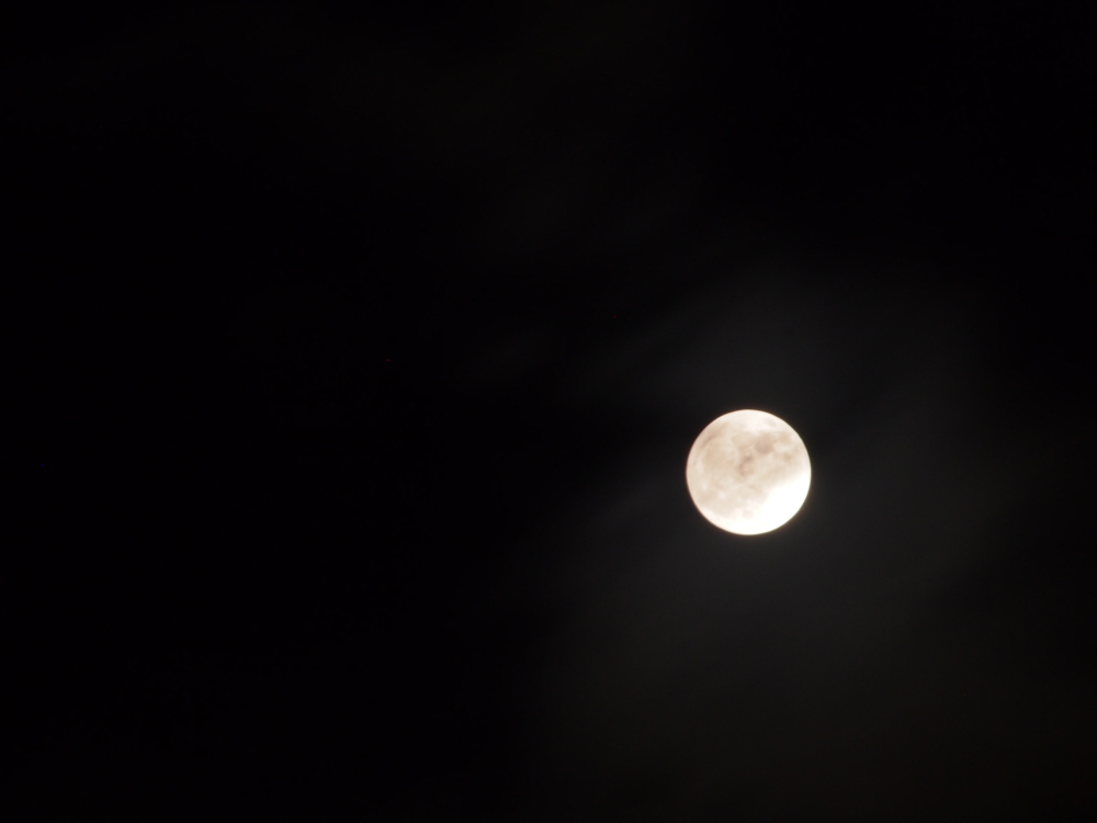 f:id:elmikamino:20130425211229j:image:w500