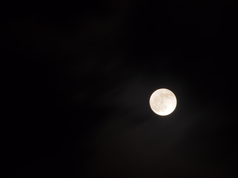 f:id:elmikamino:20130425211232j:image:w500