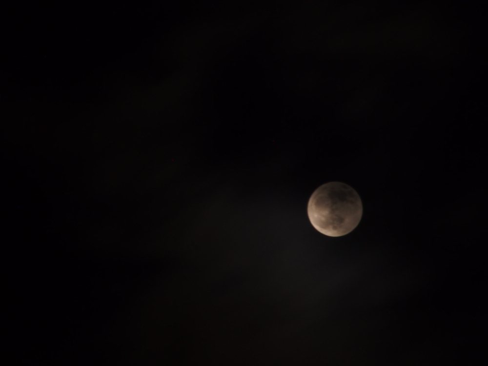 f:id:elmikamino:20130425211236j:image:w500