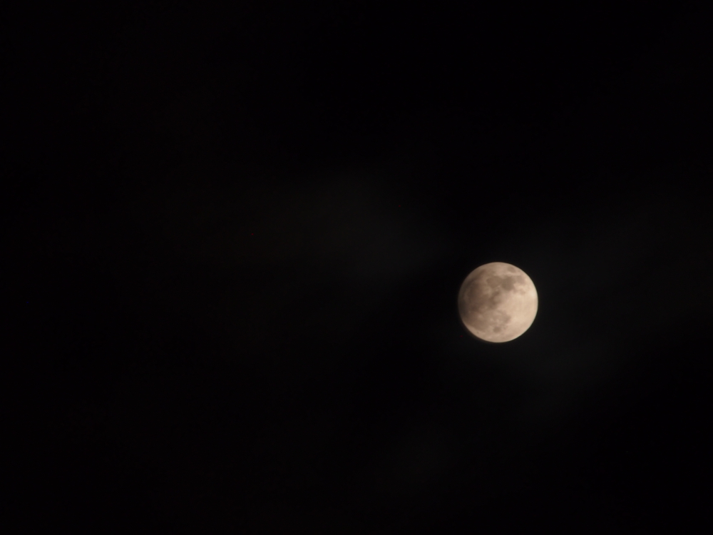 f:id:elmikamino:20130425211246j:image:w500