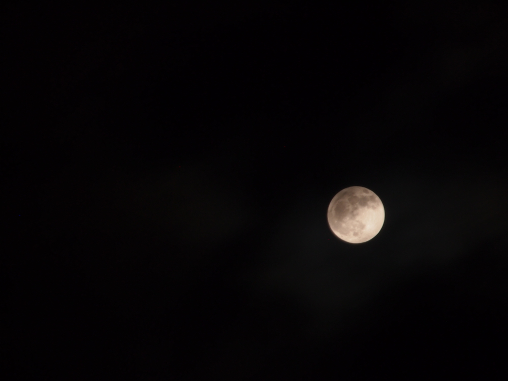 f:id:elmikamino:20130425211250j:image:w500